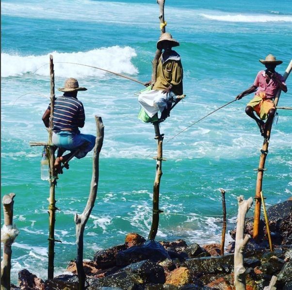 34c0e8c7157b450b06ddb49c7c1f85c6