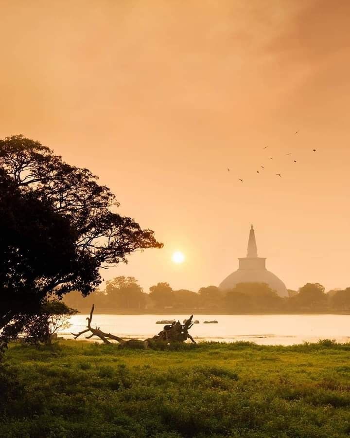 672e0f885bf8284c1073e8e20dbb4007