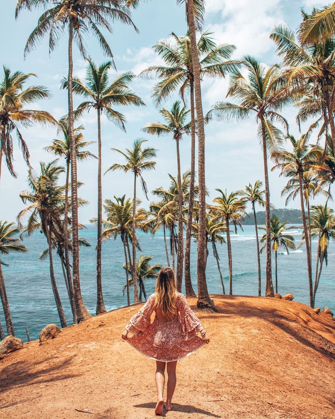 e8b27a1ce688528556dd0b51b70a7a6e