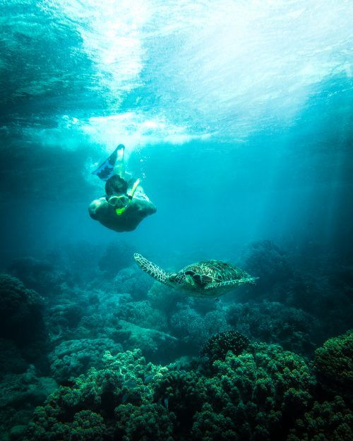 ee6a11c970515d26800a6870ddec250e (3)